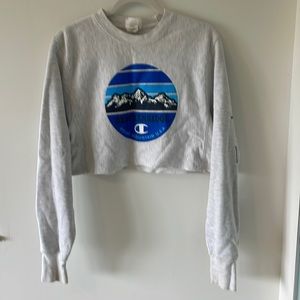 Champion x small crop sweatshirt-Breckinridge